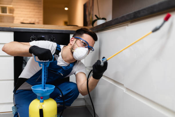 Best Emergency Pest Control  in Bradford, RI