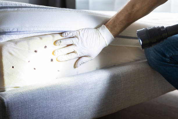 Trusted Bradford, RI Pest Control Experts