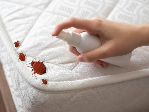 Best Pest Control Near Me  in Bradford, RI